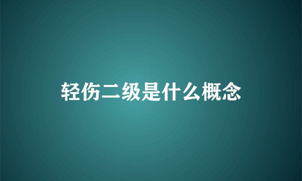 轻伤二级是什么概念