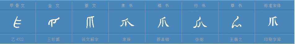 爪字组词