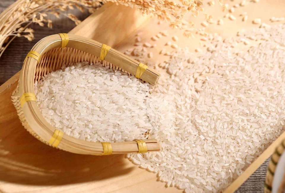 rice的复数形式为什么是rice