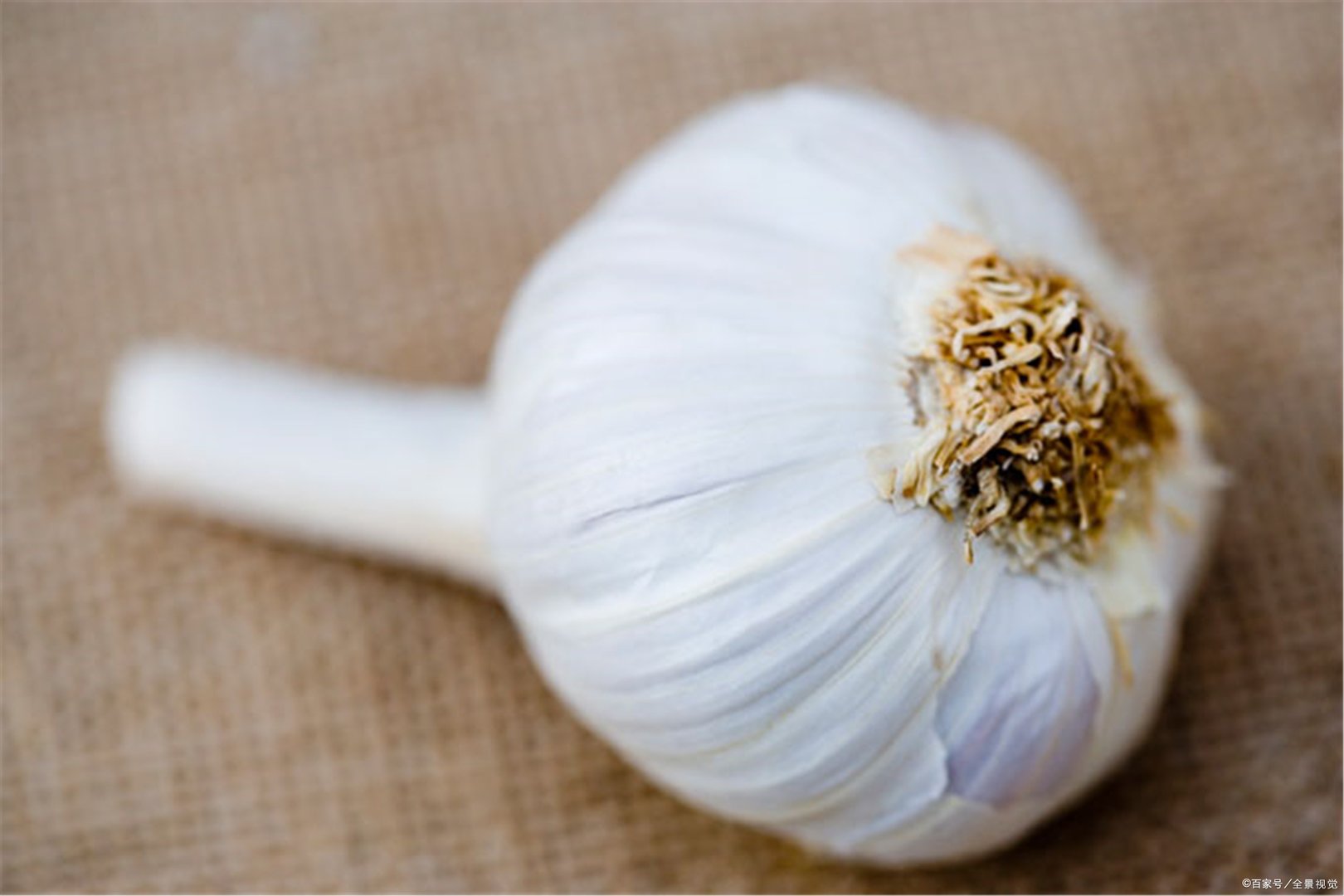 大蒜怎么储存才不会发芽？