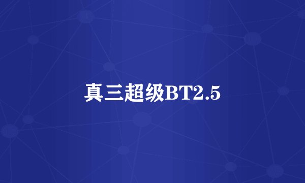 真三超级BT2.5
