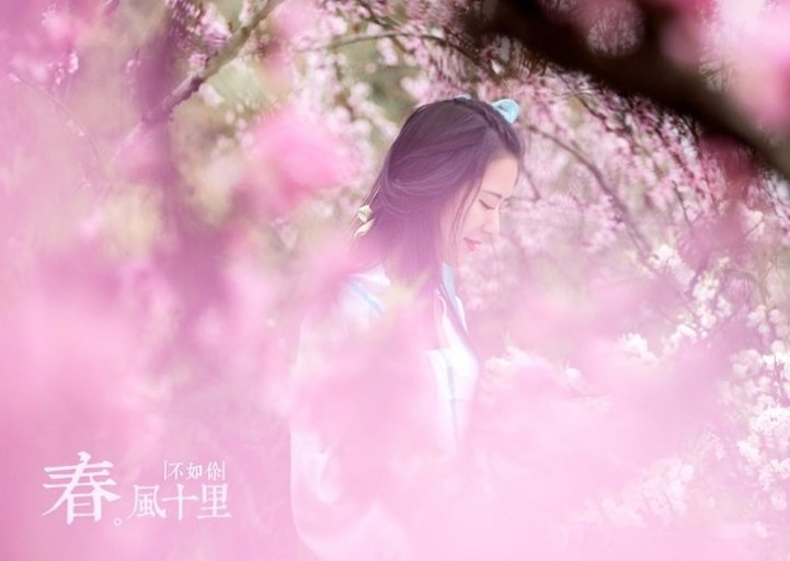 什么的春风。什么的春风