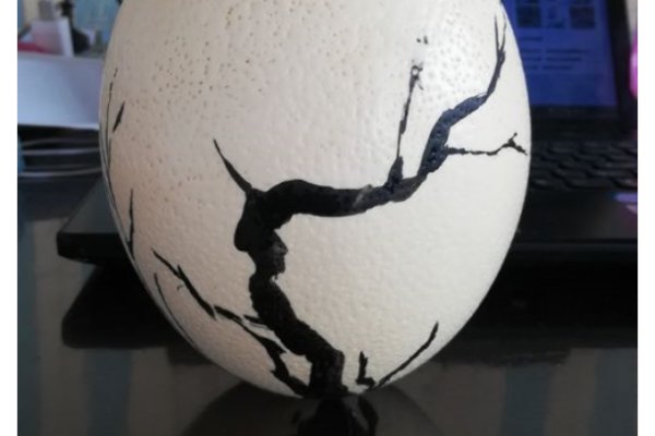 想在鸡蛋上绘画,要用什么颜料?