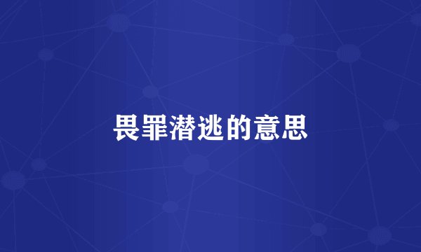 畏罪潜逃的意思