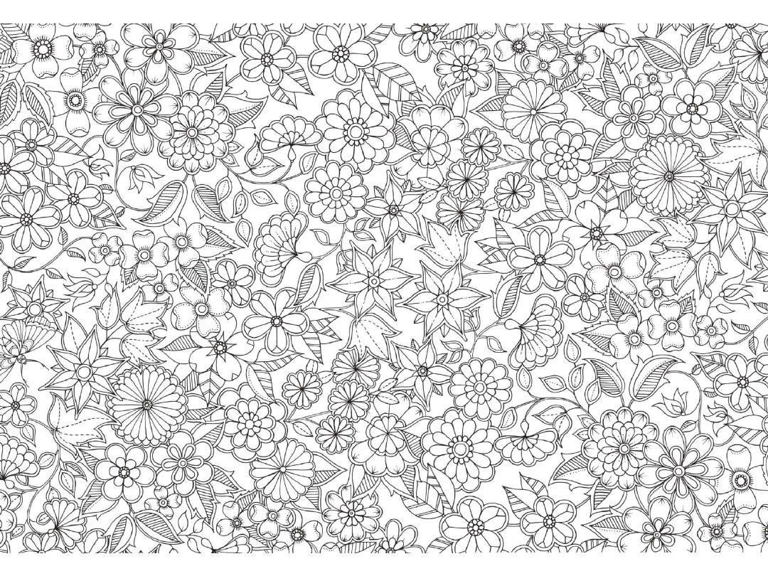 《秘密花园》用什么笔涂色比较鲜艳?