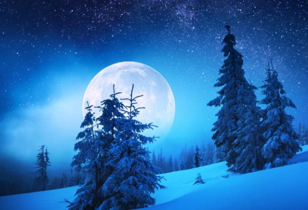 星群密布是什么意思，与密密麻麻比较，有什么不同