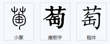 葡萄读音轻声还是二声?