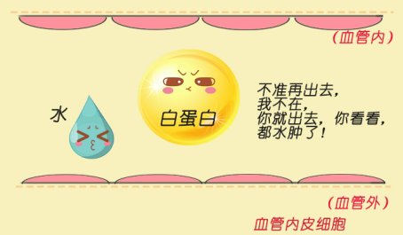 渗透压低于正常值是怎么回事