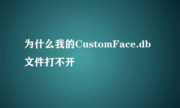 为什么我的CustomFace.db文件打不开