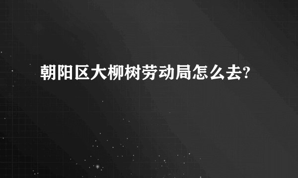 朝阳区大柳树劳动局怎么去?