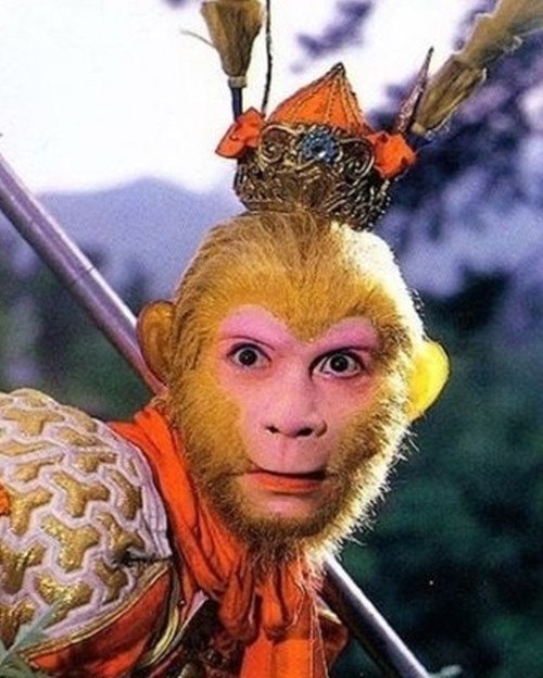 《西游伏妖篇》中九头金雕是金翅大鹏吗？