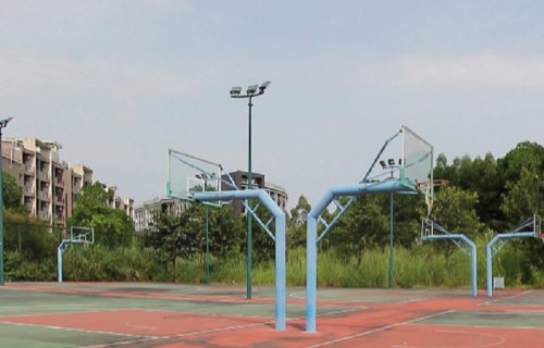 广东省职业学校排名前十