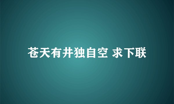 苍天有井独自空 求下联