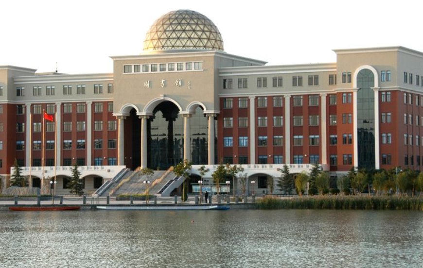 中国哪所大学的软件工程专业最好？