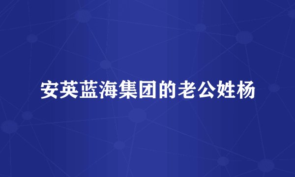 安英蓝海集团的老公姓杨