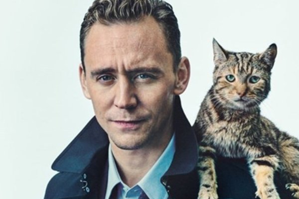 抖森 是什么意思