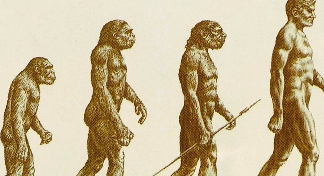 人类是怎样诞生的？