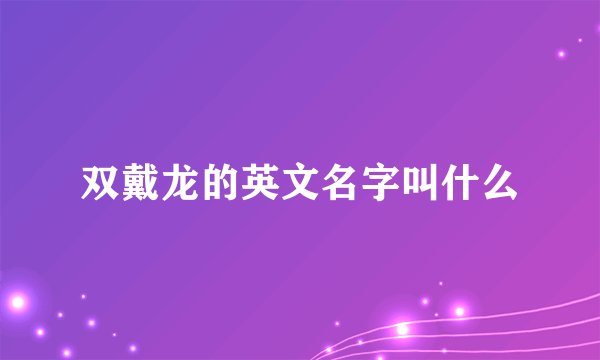 双戴龙的英文名字叫什么