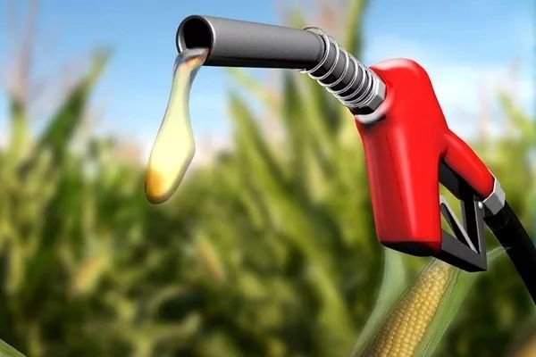 油价快速反弹，后期能否迎来逆转行情？