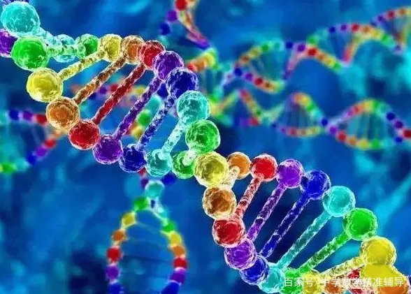 农村经常说“牛生麒麟猪生象”是怎么回事？是真的吗？