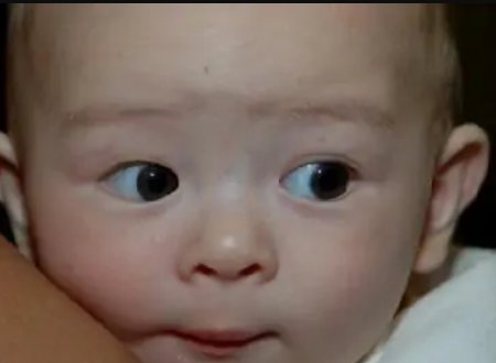 网络用语bb是什么意思？