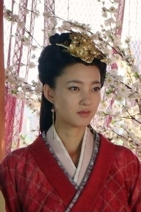 美人心计王娡是谁扮演