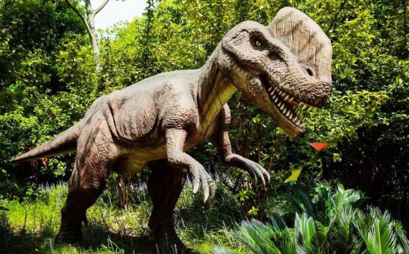 dinosaur的读音是什么？