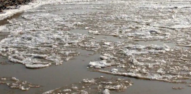 流凌指的是什么啊?