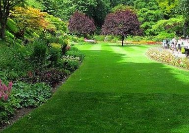 用向什么向什么向什么造句‘