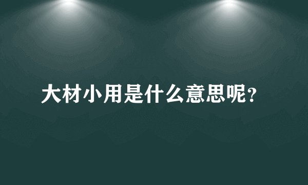 大材小用是什么意思呢？