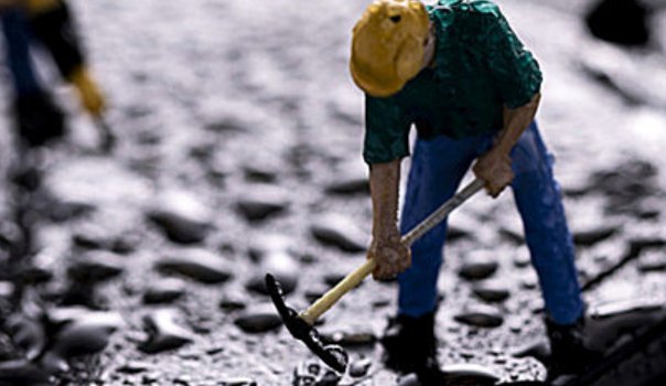 家庭出身有哪几种？