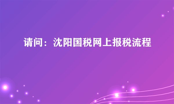 请问：沈阳国税网上报税流程