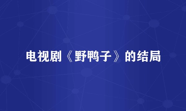 电视剧《野鸭子》的结局