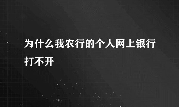 为什么我农行的个人网上银行打不开