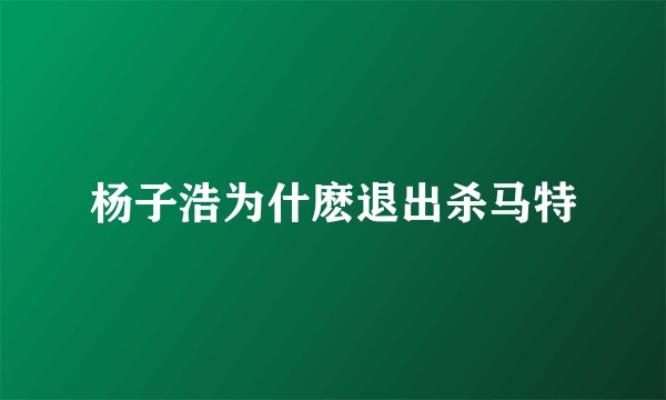 杨子浩为什麽退出杀马特