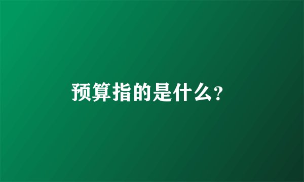 预算指的是什么？