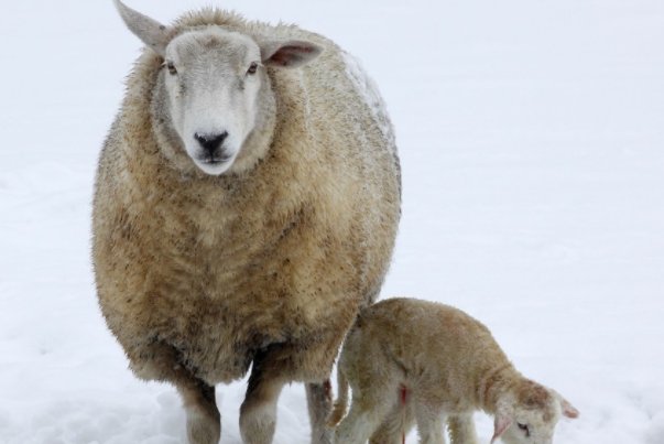 20世纪重大科技发明有哪些?