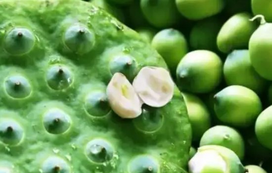 湖北的特产有哪些？