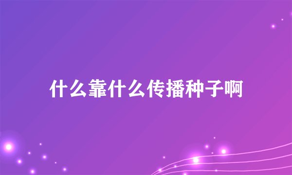 什么靠什么传播种子啊