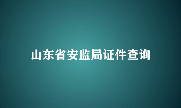 山东省安监局证件查询
