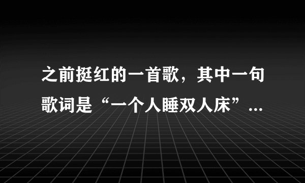 之前挺红的一首歌，其中一句歌词是“一个人睡双人床”是什么歌