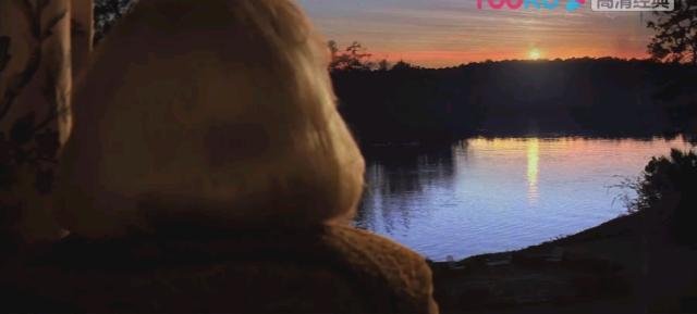 如何评价豆瓣8.5,好莱坞唯美又俗气的爱情片《恋恋笔记本》?