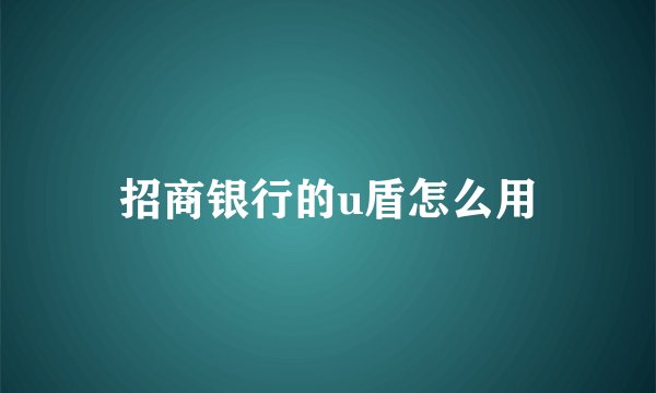 招商银行的u盾怎么用