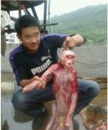 虐猴男的事件过程