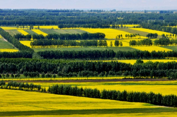 新疆昭苏县为何被誉为“天马之乡”?