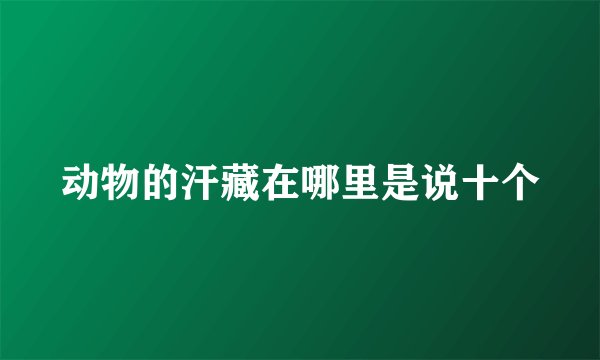 动物的汗藏在哪里是说十个