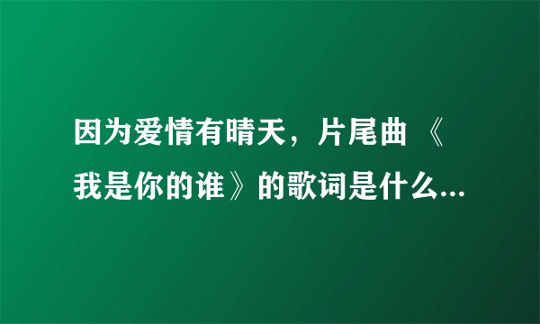 因为爱情有晴天，片尾曲 《我是你的谁》的歌词是什么？求解！