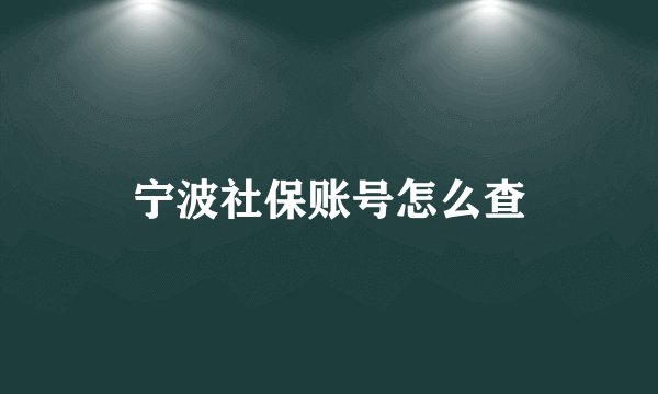 宁波社保账号怎么查