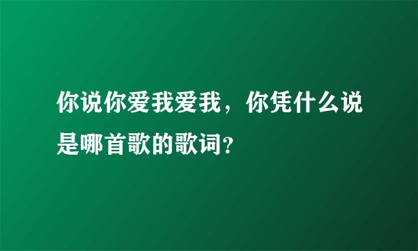 你说你爱我爱我，你凭什么说是哪首歌的歌词？