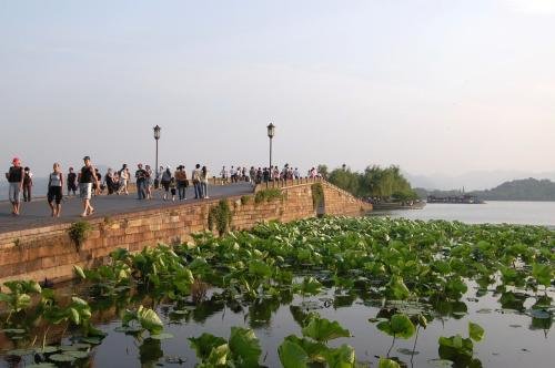 昨日超5000人涌向西湖断桥，为什么又如此多人去西湖断桥？